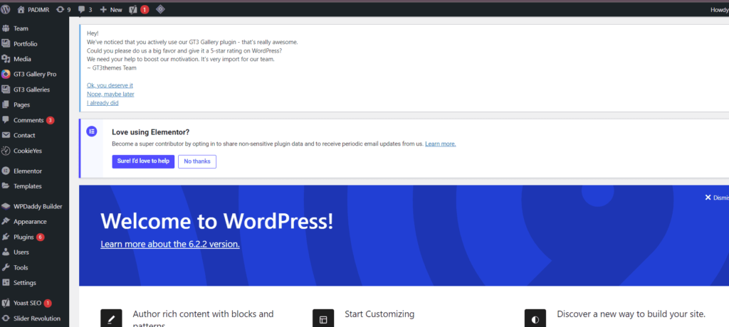 view of a seo expert wordpress website