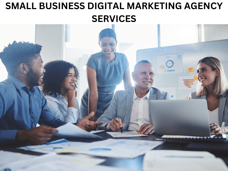 small business digital marketing agency