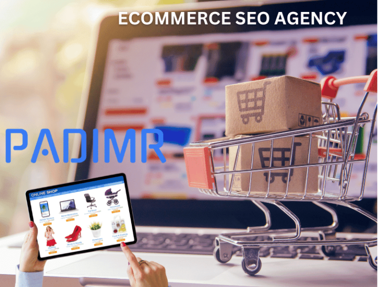 ecommerce seo agency